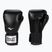 Rękawice bokserskie Everlast Pro Style 2 czarne EV2120 BLK