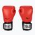 Rękawice bokserskie Everlast Pro Style 2 czerwone EV2120 RED