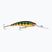 Wobler Rapala Deep Tail Dancer flash perch