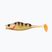 Przynęta gumowa Berkley Pulse Realistic Perch golden perch 1543307