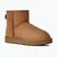 Śniegowce damskie UGG Classic Mini II chestnut