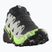 Buty do biegania męskie Salomon Speedcross 6 GTX black/alloy/green gecko