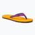 Japonki damskie The North Face Base Camp Mini II summit gold purple cactus flower