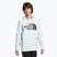 Bluza męska The North Face Tekno Logo Hoodie icecap blue