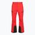 Spodnie narciarskie męskie The North Face Chakal Regular elevation red