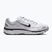 Buty męskie Nike P-6000 white/metallic silver/black/black
