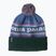 Czapka zimowa Patagonia Powder Town park stripe: barnacle blue