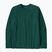 Longsleeve męski Patagonia P-6 Logo Responsibili cascade green