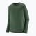 Bluza termoaktywna męska Patagonia Capilene Lightweight Crew canopy green