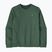 Bluza męska Patagonia Fitz Roy Massif Daily Crew Canopy Green