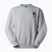 Bluza The North Face Celebration Relaxed Crew Graphic tnf light grey heather