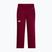 Spodnie narciarskie damskie The North Face Lenado burgundy crush