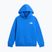 Bluza dziecięca The North Face Evolution Box NSE Pullover Hoodies active blue