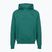Bluza męska Under Armour Rival LW Hoodie rack green/black