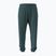 Spodnie męskie Under Armour Rival LW Graphic Jogger rack green/black