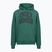 Bluza męska Under Armour Rival LW Graphic Hoodie rack green/black