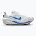 Buty do biegania męskie Nike Winflo 12 white/off white/lapis/blue crystal