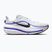 Buty do biegania męskie Nike Winflo 12 off white/white/wolf grey/black