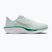 Buty do biegania damskie Nike Quest 6 barely green/white/metallic silver