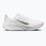 Buty do biegania damskie Nike Pegasus 42 white/wolf grey/metallic silver