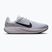Buty do biegania męskie Nike Quest 7 pure platinum/white/wolf grey/black