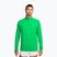 Bluza do biegania męska Nike Stride 1/4 Zip Dri-Fit green spark
