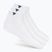 Skarpety Tecnifibre Low-Cut 3 pary white/marine