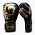 Rękawice bokserskie Venum Giant 2.0 Mike Tyson Pro Boxing black/gold