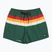Szorty kąpielowe męskie Quiksilver Everyday Printed Volley 15" forest outside stripe