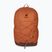 Plecak deuter Gogo 25 l chestnut/ umbra