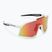 Okulary przeciwsłoneczne DYNAFIT Trail Evo white/black