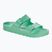 Klapki BIRKENSTOCK Arizona EVA Regular bold jade