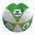 Piłka do piłki nożnej dla dzieci Erima Hybrid Lite 290 size 5 green gecko/lime