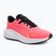 Buty do biegania PUMA Skyrocket Lite sunset glow/puma black