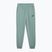 Spodnie męskie PUMA ESS No. 1 Logo Sweatpants TR CL green moon