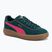 Buty damskie PUMA Club Klassika Suede dark myrtle/puma pink