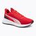 Buty do biegania PUMA Flyer Lite 3 puma black/for all time red