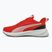 Buty do biegania PUMA Flyer Lite 3 puma black/for all time red