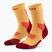Skarpety kompresyjne męskie CEP Run Mid Cut 5.0 marigold/burgundy