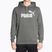 Bluza męska PUMA Essentials Big Logo Hoodie FL mineral gray