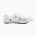 Buty szosowe męskie Shimano SH-RC703 white