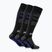 Skarpety narciarskie Surfanic Pro Tech Plus 3 pak brilliant blue