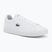 Buty męskie Lacoste Lerond Set white/white