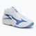Buty do siatkówki Mizuno Thunder Blade Z Mid white/bellwether blue/bel air blue