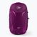 Plecak turystyczny Lowe Alpine Airzone Active 26 l grape