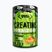Kreatyna Real Pharm Creatine 500 g orange