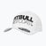 Czapka z daszkiem Pitbull Snapback Seascape white