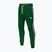 Spodnie męskie Pitbull West Coast Trackpants Tape Logo Terry Group green