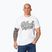 Koszulka męska Pitbull Original white