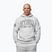 Bluza męska Pitbull Badger Hooded grey/melange